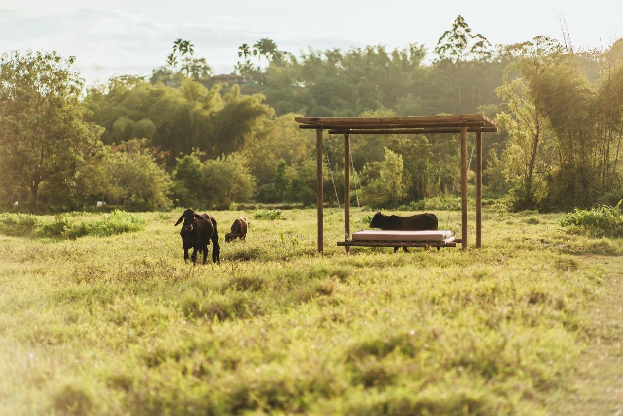 Glamping Entre Rios Hotel Calarca Exterior photo